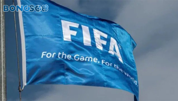 FIFA chuẩn bị cho các cuộc đàm phán về việc tổ chức WC 2 năm 1 lần.