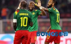 Nhận định, soi kèo Cameroon vs Gambia, 23h00 ngày 29/01 CAN Cup 2021